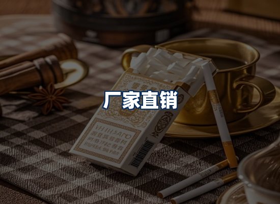 专业团队办公环境